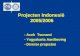 Projecten Indonesië 2005/2006 - Aceh Tsunami - Yogyakarta Aardbeving - Diverse projecten.
