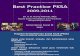 Best Practice PKSA 2009-2011