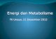 Energi Dan Metabolisme 4