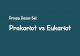 Sel Prokariot vs Eukariot