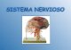 Sistema nervioso 6