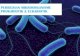 Mikrobiologi: Lisosom
