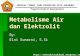 Metabolisme Air dan Elektrolit