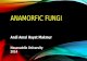 Anamorfic Fungi
