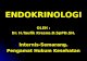 Kuliah 4b Endokrin Sistem Endokrin