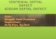 Ventrikal Septal Defect Dan Atrium Septal Defect