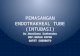 Pemasangan Endotrakheal Tube (Intubasi)