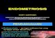 Endometriosis 2