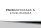 Pneumotoraks & Efusi Pleura 2