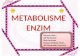 Kel. 4-Metabolisme Enzim