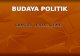 BUDAYA POLITIK (KEPERAWATAN)