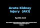 Acute Kidney Injury  (AKI)