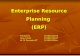 Enterprise Resource Planning  (ERP)