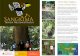 Leaflet Taman Nasional Kutai