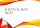Electrical Burn Injury (Draft2)