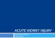 Acute Kidney Injury by Gita Kristy Saraswati