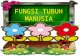 FUNGSI TUBUH MANUSIA