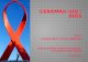 Presentation hiv aids puskes