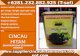 Grass Jelly Resep, Grass Jelly Drink Recipe, Harga Cincau Hitam Di Pasaran +6281.232.882.925 (T-sel)