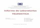 Informe labs telematica