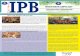 IPB P a r i w a r abiofarmaka.ipb.ac.id/biofarmaka/2015/Pariwara IPB 2015 Vol 271.pdf · Rektor Institut Pertanian Bogor (IPB) ... IPB baik dalam pengelolaan keuangan ataupun dalam