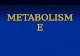 METABOLISME.… · PPT file · Web view · 2011-11-17METABOLISME TUJUAN PEMBELAJARAN: Mendiskripsikan pengertian metabolisme dan menyebutkan fungsi enzim dalam peristiwa metabolisme