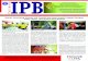 IPBP a r i w a r a - IPB 2014 Vol 129.pdf · PDF fileNasoetion, Rektorat Lt. 1, Kampus IPB Darmaga Telp. : (0251) 8425635, Email: humas@apps.ipb.ac.id Terbit Setiap Senin-Rabu-Jum’at