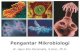 Pengantar Mikrobiologi Gizi 2018 · PDF fileFaktor yang Mempengaruhi Pertumbuhan Bakteri Sejarah Mikrobiologi. Mikrobiologi dan Pentingnya Mikrobiologi. Mikrobiologi ‣ Ilmu tentang