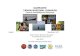 s3. · Web viewKAMPANYE TAMAN NASIONAL BUNAKEN Laporan Pembelajaran Kampanye Gatot Santoso, S.Pi Balai Taman Nasional Bunaken Kementerian Kehutanan Mei 2012 Periode Kampanye 2010-2012