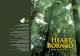Direktorat Konservasi Kawasan dan Bina Hutan Lindung ...awsassets.wwf.or.id/downloads/booklet_hob_revised_2.pdf · Kelompok Kerja Nasional ... negara yaitu Brunei Darussalam, Indonesia