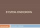 SYSTEM ENDOKRIN - vlm.ub.ac.idvlm.ub.ac.id/ END · PDF file DEFINISI ENDOKRINOLOGI ENDOKRINOLOGI berasal dari kata “Endokrin” dan “-logi” “Endokrin” Kelenjar Endokrin