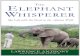 TOP The Elephant Whisperer: My Life with the Herd in the African Wild (Elephant Whisperer, 1)
