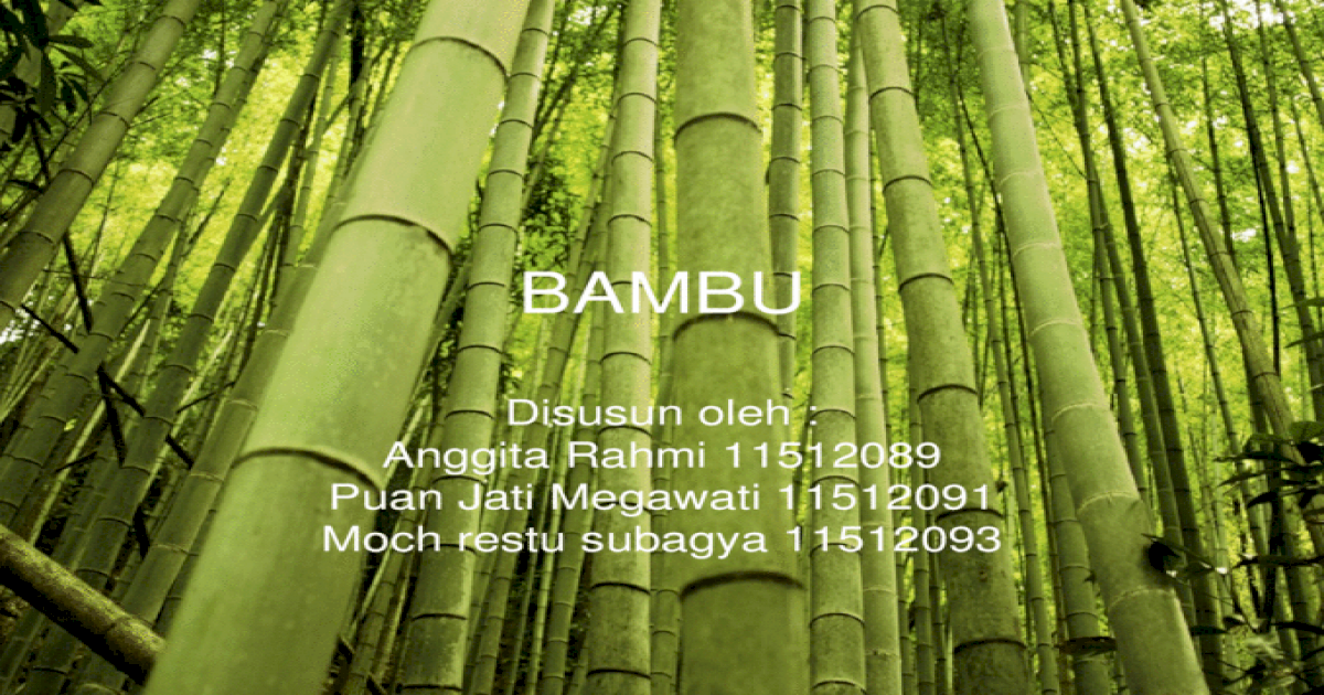 Material Bambu  PPT Powerpoint 
