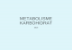 METABOLISME KARBOHIDRAT