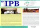 IPB P a r i w a r IPB 2015 Vol 277.pdf  usulan terhadap pemerintah kaitannya dengan konsep dan kebijakan