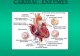 Cardiac Enzyme Detection