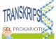 transkripsi prokariotik
