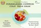 PPT Common Cold