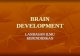 Materi brain development